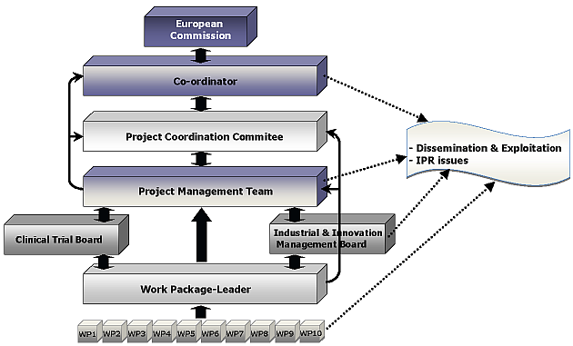 project management